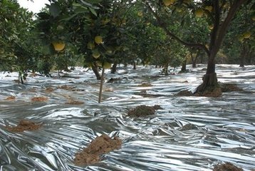 反光銀色母A5340